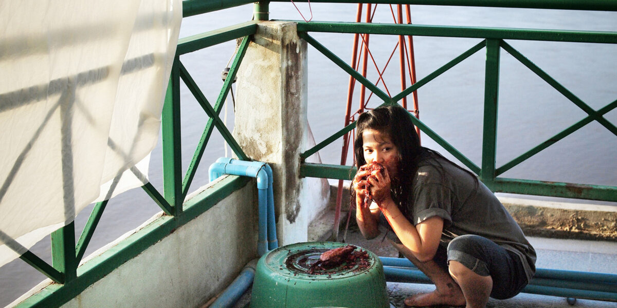 Hotel Mekong (Apichatpong Weerasethakul, 2012)